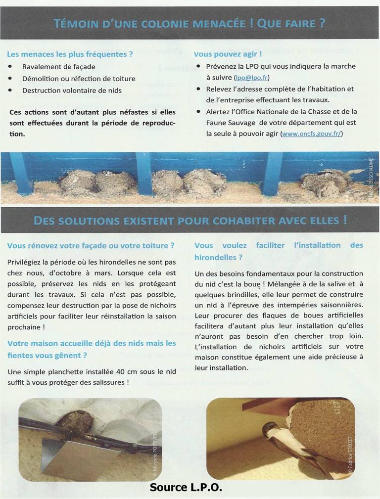 clic pour agrandir