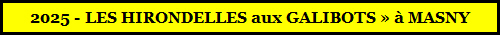 2025 - LES HIRONDELLES aux GALIBOTS » à MASNY