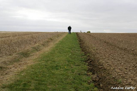 Clic pour agrandir - Chemin du Menhir de Lécluse