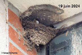 clic pour agrandir