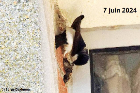 clic pour agrandir