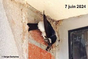clic pour agrandir