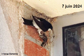 clic pour agrandir