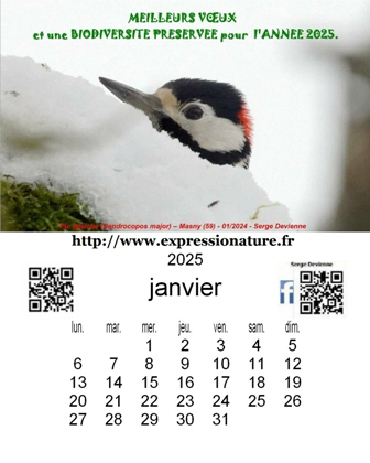 Clic pour agrandir