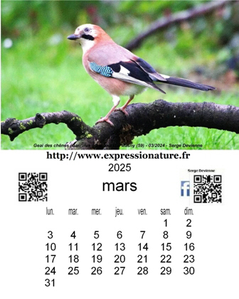 clic pour agrandir