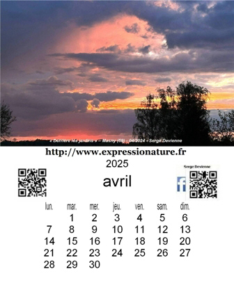 clic pour agrandir