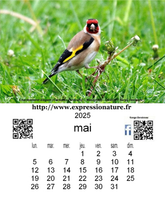 clic pour agrandir