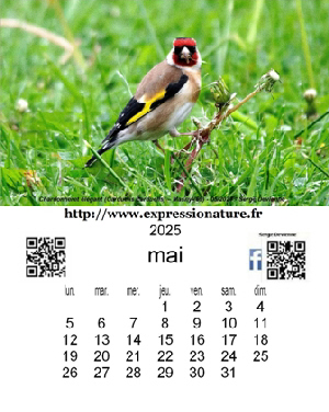 clic pour agrandir