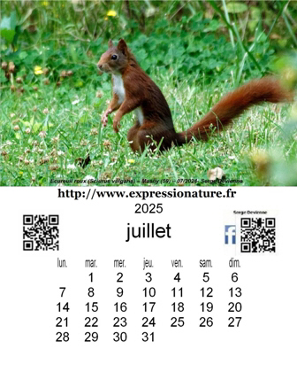 clic pour agrandir