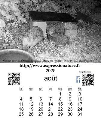 clic pour agrandir
