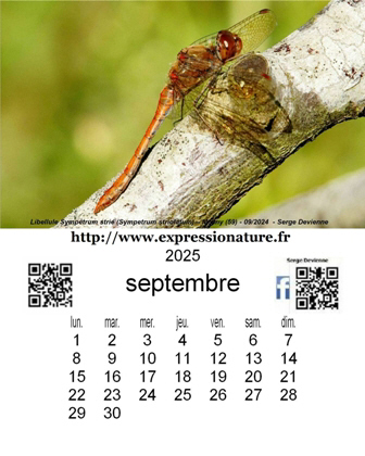 clic pour agrandir