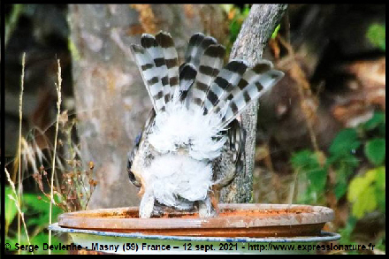 clic pour agrandir