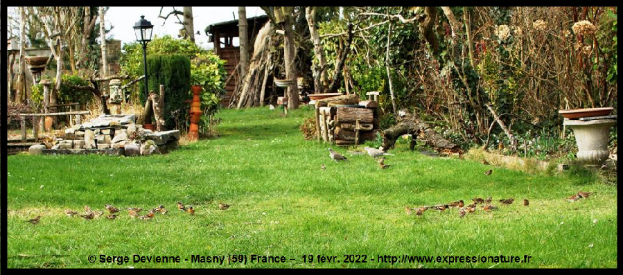 clic pour agrandir