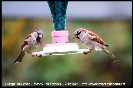 clic pour agrandir