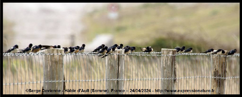 clic pour agrandir
