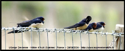 clic pour agrandir