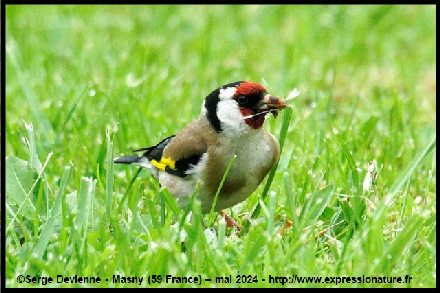 clic pour agrandir