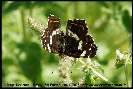 clic pour agrandir