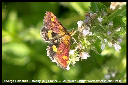 clic pour agrandir