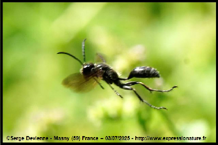 clic pour agrandir