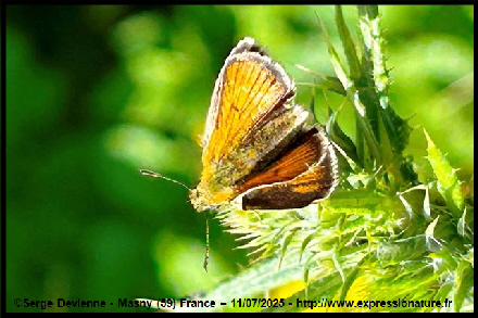 clic pour agrandir