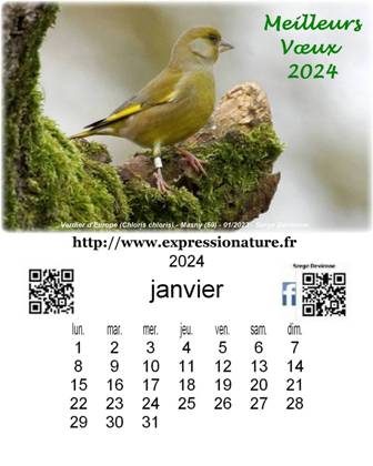 Clic pour agrandir