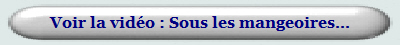 Voir la vidéo : Sous les mangeoires...