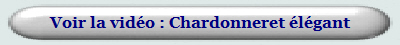 Voir la vidéo : Chardonneret élégant 