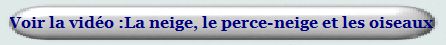 Voir la vidéo :La neige, le perce-neige et les oiseaux 