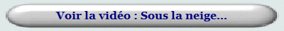 Voir la vidéo : Sous la neige...