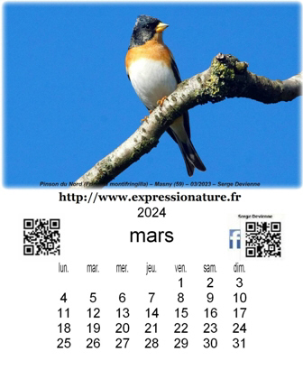 clic pour agrandir