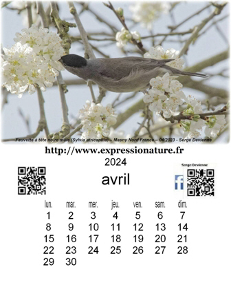 clic pour agrandir