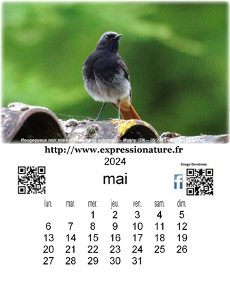 clic pour agrandir