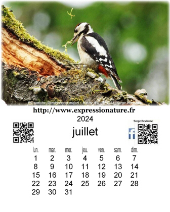 clic pour agrandir