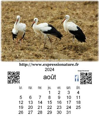 clic pour agrandir