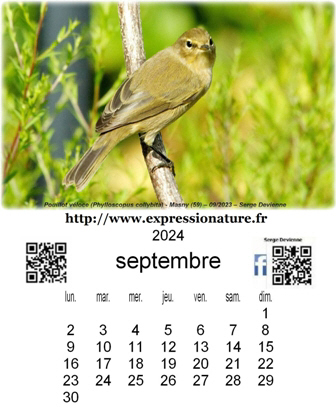 clic pour agrandir