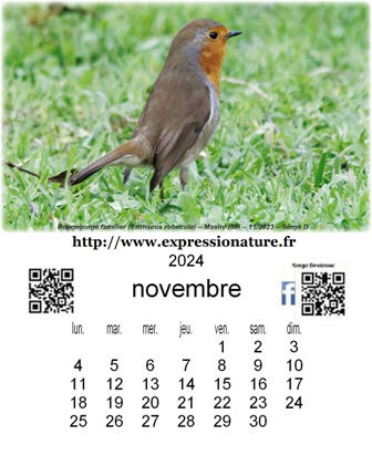 clic pour agrandir