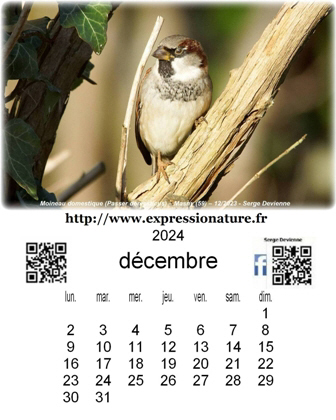 clic pour agrandir