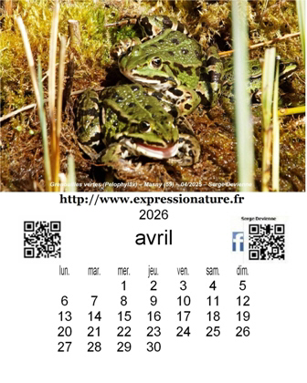 clic pour agrandir