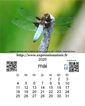 clic pour agrandir
