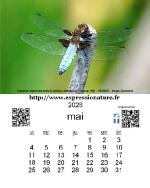 clic pour agrandir