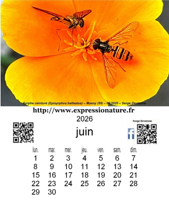 Clic pour agrandir