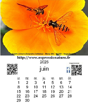 clic pour agrandir