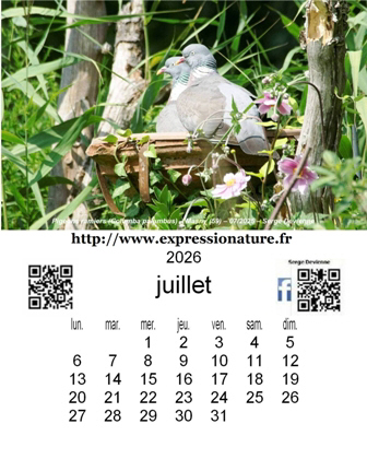 clic pour agrandir