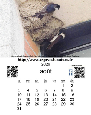 clic pour agrandir