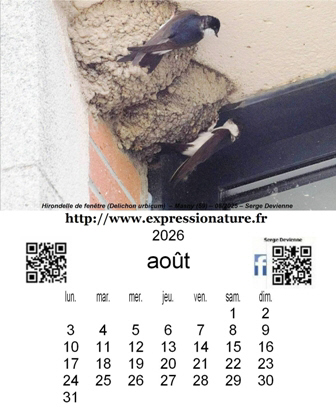 clic pour agrandir