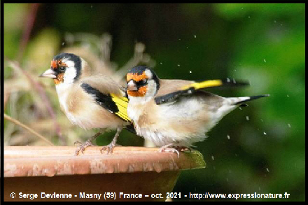 clic pour agrandir