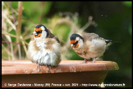 clic pour agrandir