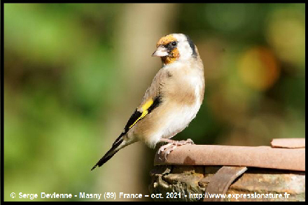 clic pour agrandir