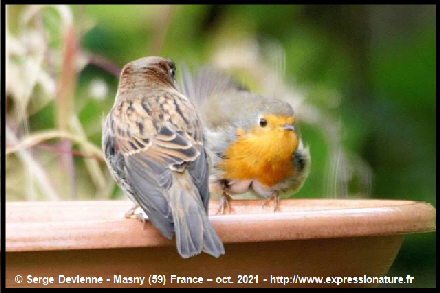clic pour agrandir